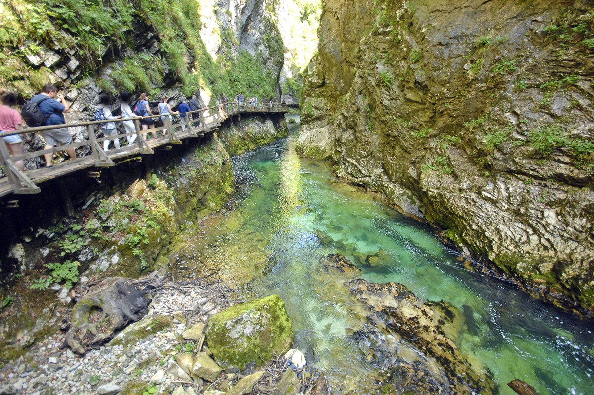 Die Vintgar-Klamm (slowenisch: Blejski Vintgar). Aufnahme: 2. August 2016.