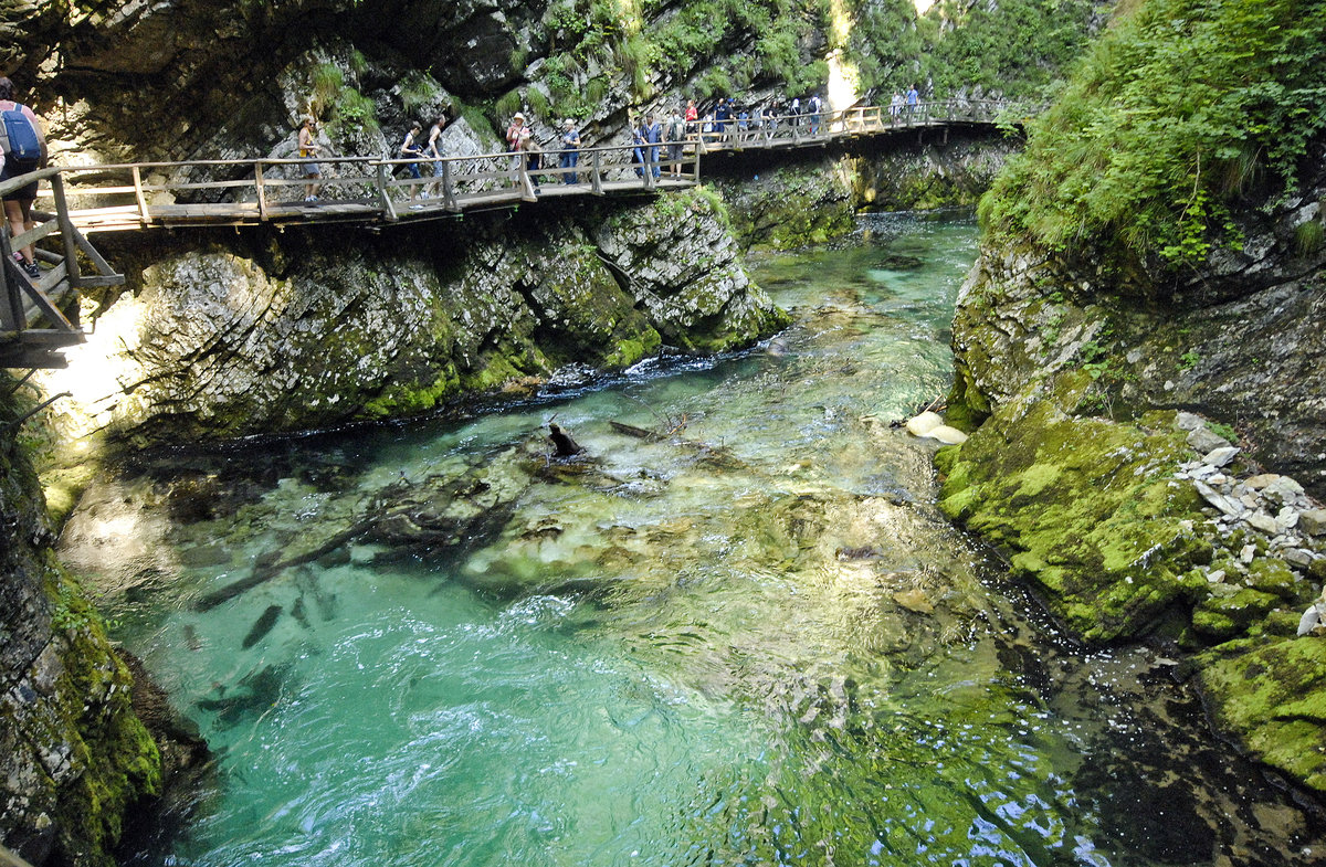 Die Vintgar-Klamm (slowenisch: Blejski Vintgar). Aufnahme: 2. August 2016.
