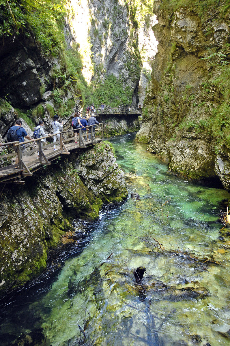 Die Vintgar-Klamm (slowenisch: Blejski Vintgar). Aufnahme: 2. August 2016.