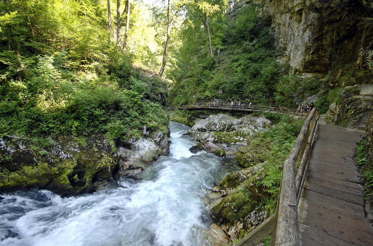 Die Vintgar-Klamm (slowenisch: Blejski Vintgar). Aufnahme: 2. August 2016.