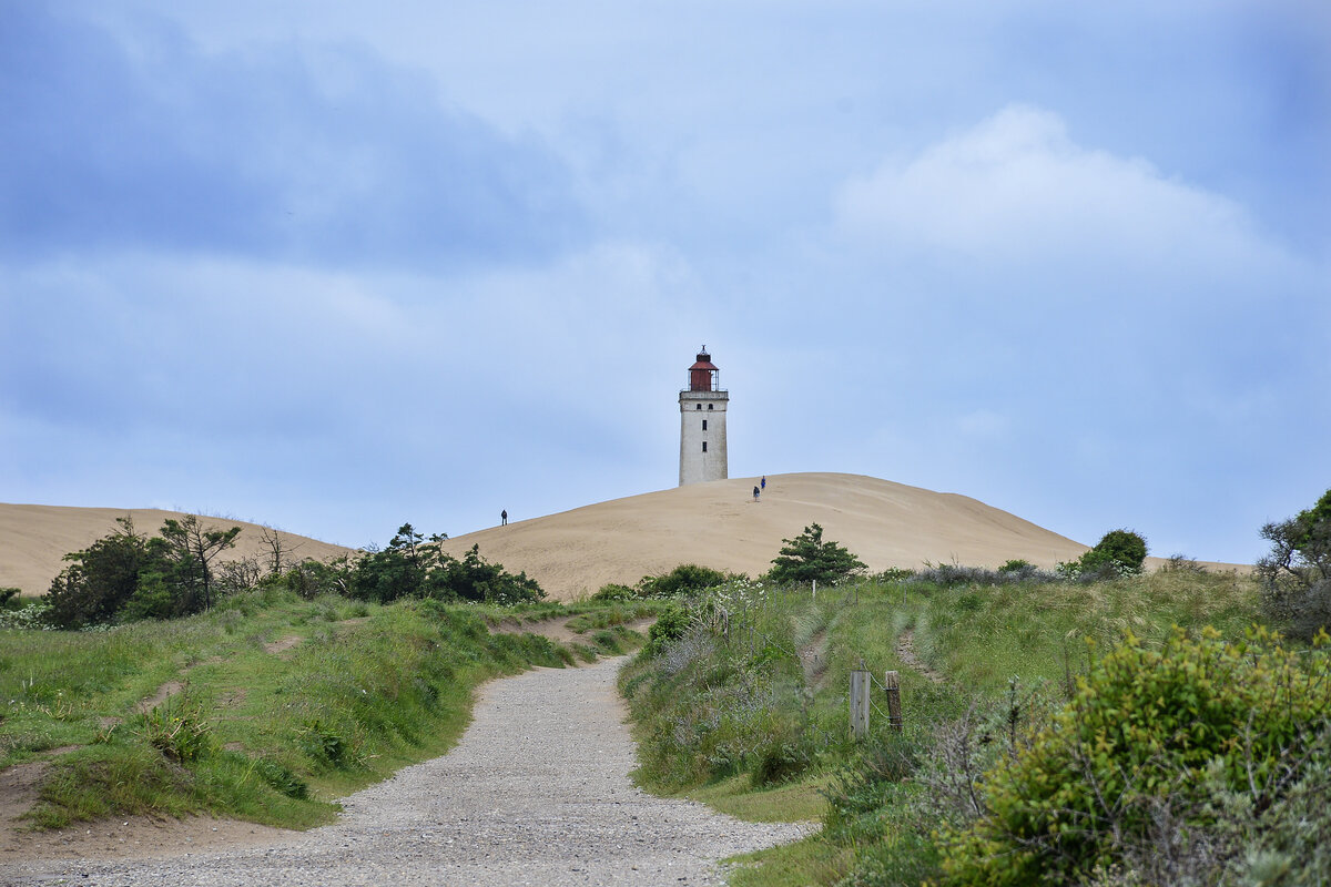 Die Wanderd�ne Rubjerg Knude gesehen vom Wanderweg Fyrvejen. Die D�ne liegt s�dlich von L�nstrup an der j�tl�ndischen Westk�ste in D�nemark. Aufnahme: 9. Juni