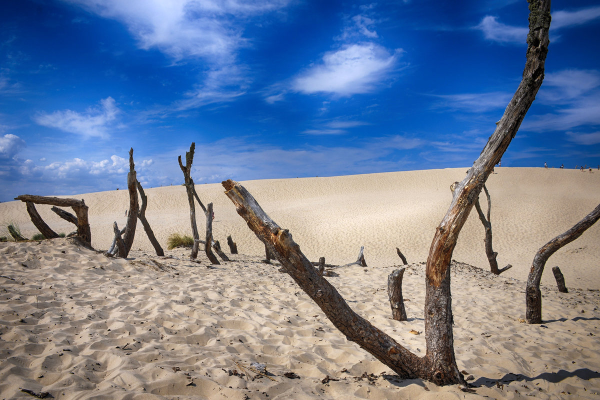 Die Wanderdüne Wydma Czołpińska im Slowinzischen Nationalpark in Hinterpommern, Polen. Aufnahme: 18. August 2020.