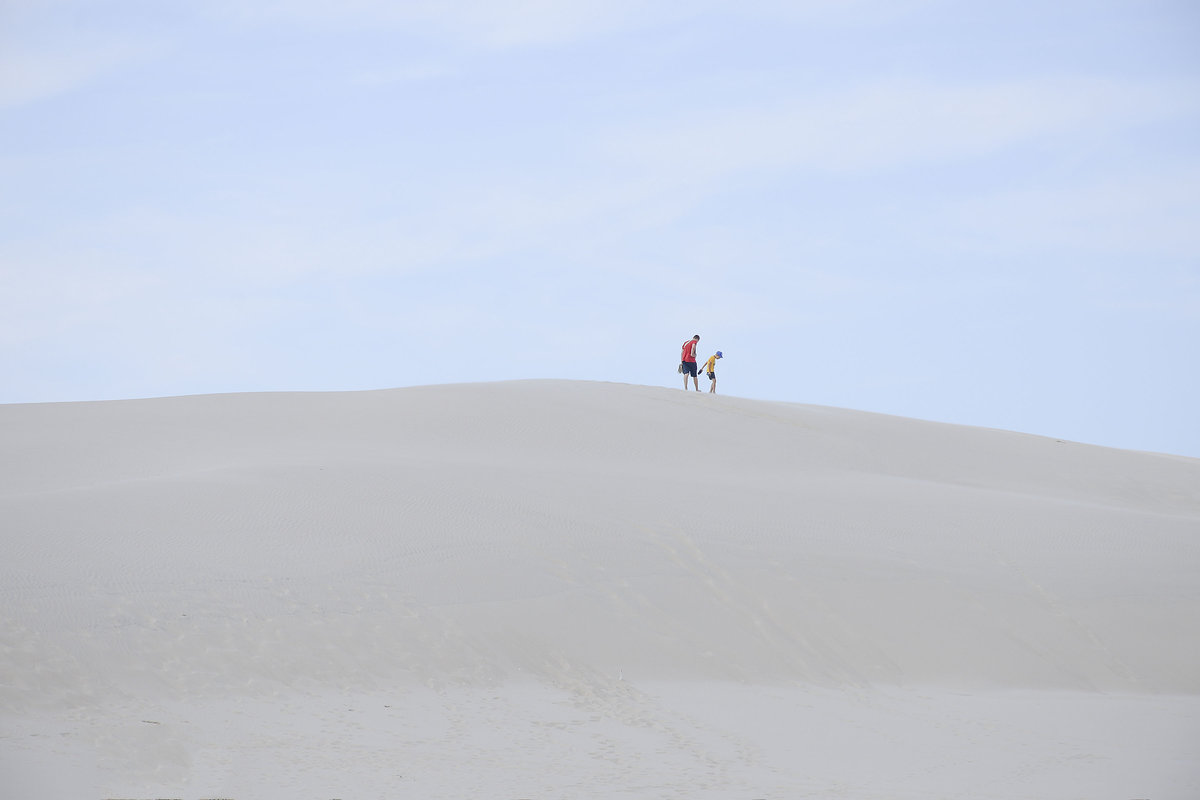 Die Wanderdüne Wydma Czołpińska im Slowinzischen Nationalpark in Hinterpommern, Polen. Aufnahme: 18. August 2020.