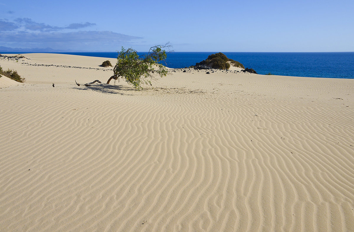 Die Wanderdünen an der Nordostküste von Fuerteventura in Spanien. Aufnahme: 18. Oktober 2017.