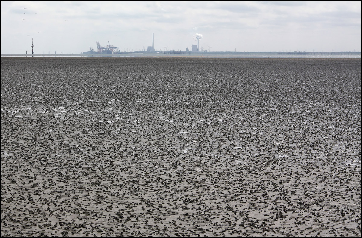 Die Weite -

... des Wattenmeer und die menschlichen Veränderungen im Hintergrund. Im Watt bei der Nordseeinsel Mellum. Im Hintergrund der JadeWeserPort von Wilhelmshaven.

08.08.2015 (M)