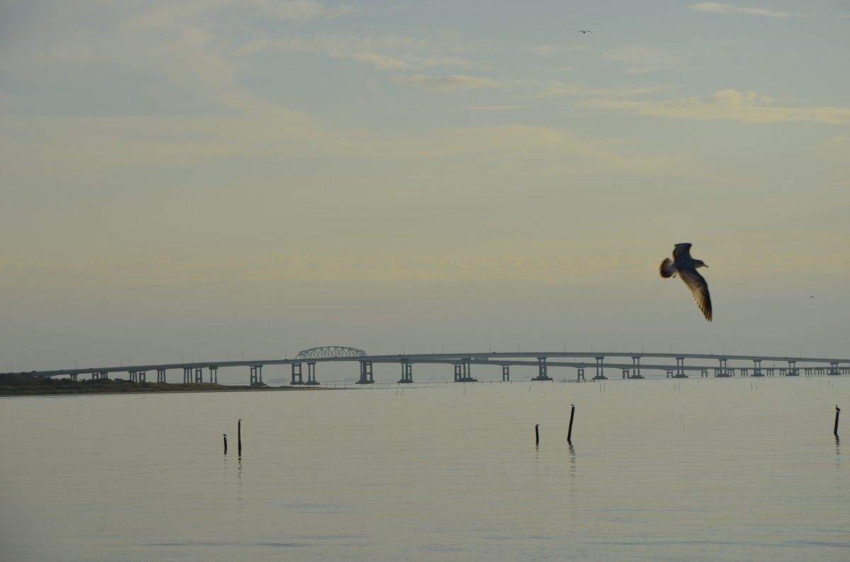 Diese Brcke ist Teil des Chesapeake Bay Bridge-Tunnel, der mit ber 20 Meilen (37 km) Lnge den Bereich Hampton Roads, Virginia mit der Delmarva-Halbinsel ber den US 13 verbindet. Sie gehrt zu einem der grten Brcken-Tunnel-Bauten der Welt. (18.10.2013)
 