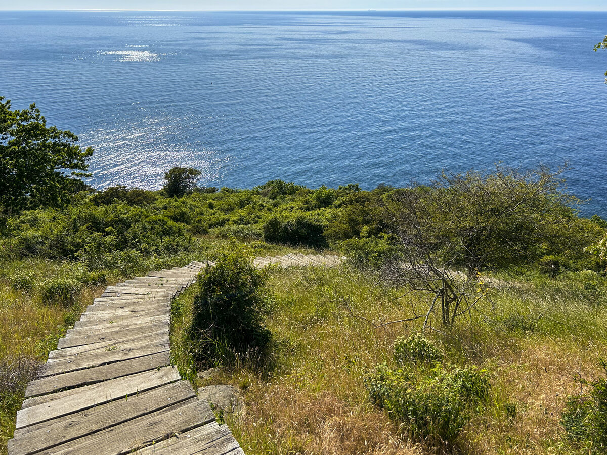 Diese Holztreppe führt von Hammershus hinunter nach den »Kamel Köpfen« (kopfähnliche Felsenformationen) an der Nordwestküste Bornholms. Aufnahme: 16. Juni 2023.