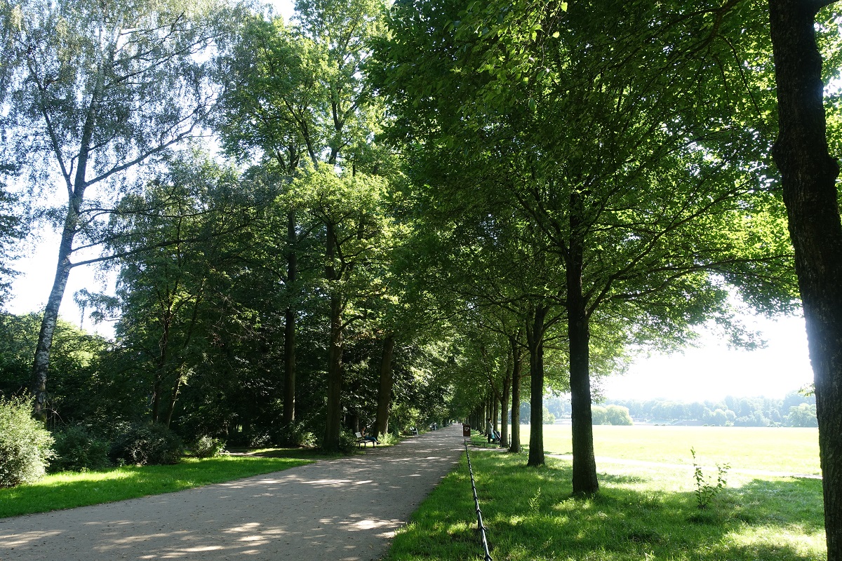 diese Mittagsruhe, ein Weg am 1.9.2021 um 12.12 Uhr im Hamburger Stadtpark /