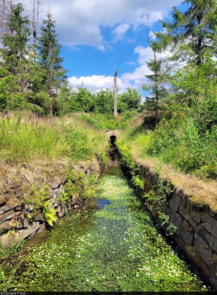 Dieser Wasserlauf östlich von Clausthal-Zellerfeld im Harz müsste der Huttaler Graben sein, aber der genaue Fotostandort ist leider nicht mehr bekannt.

🕓 25.6.2023 | 15:03 Uhr