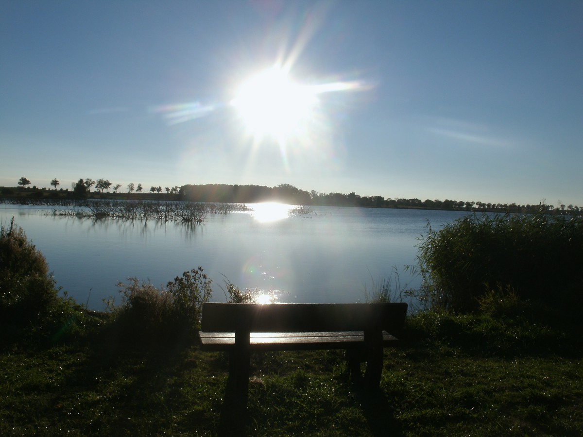 Direkt am Ufer am Nonnensee steht diese Bank bei Bergen/Rgen.Aufgenommen am 02.Oktober 2013.