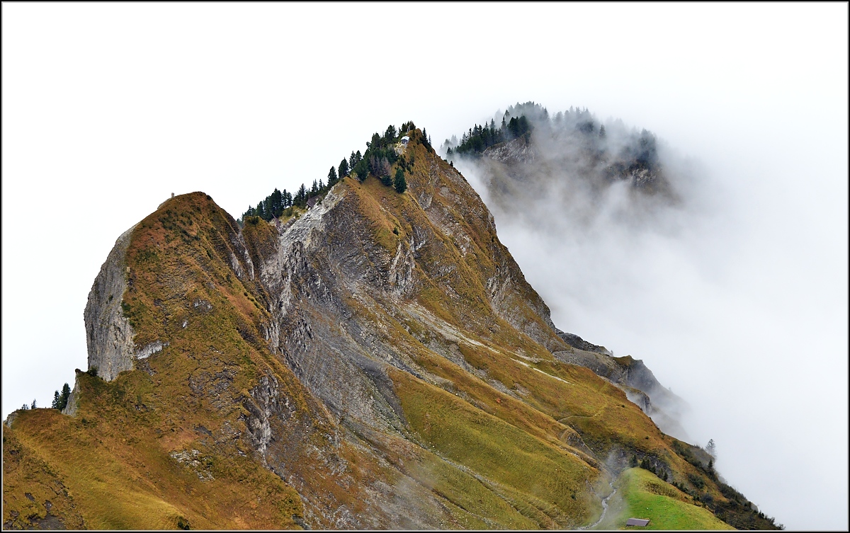 Dirrengrind vor die weiße Leinwand gestellt...
Brienz, September 2012.