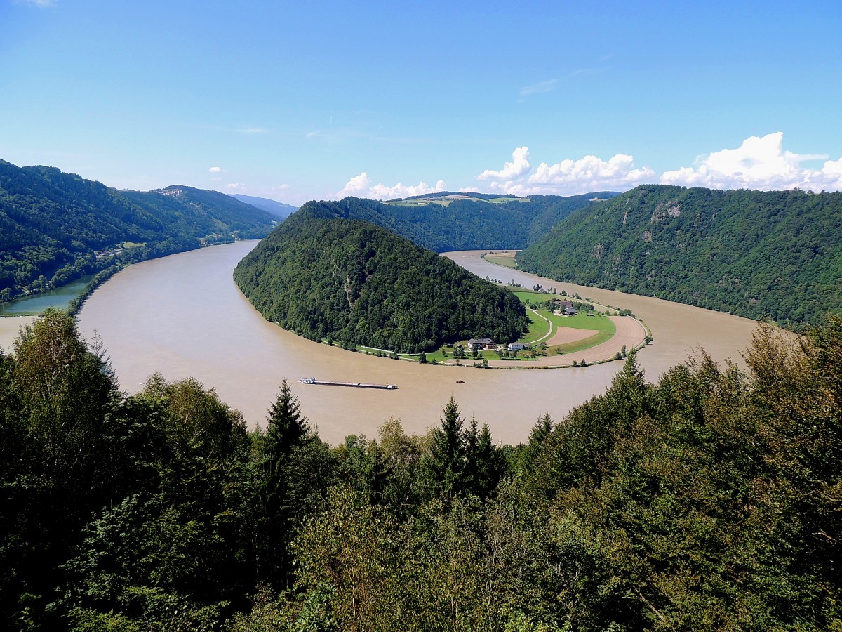 Donauschlinge bei Schlögen; zwischen Stromkilometer 2180,5 und 2186,5 entlang der Donau; liegt das südliche Ufer  in der Gemeinde Haibach ob der Donau in deren Ortsteil Schlögen, welcher der Schlinge den Namen verleiht; 140802