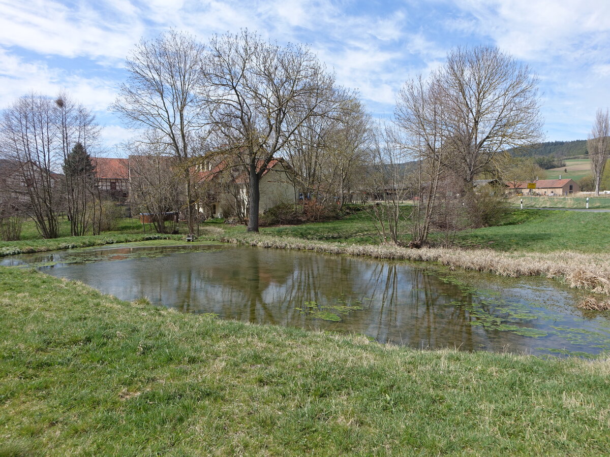 Dorfteich in Altremda, Landkreis Saalfeld-Rudolstadt (17.04.2022)