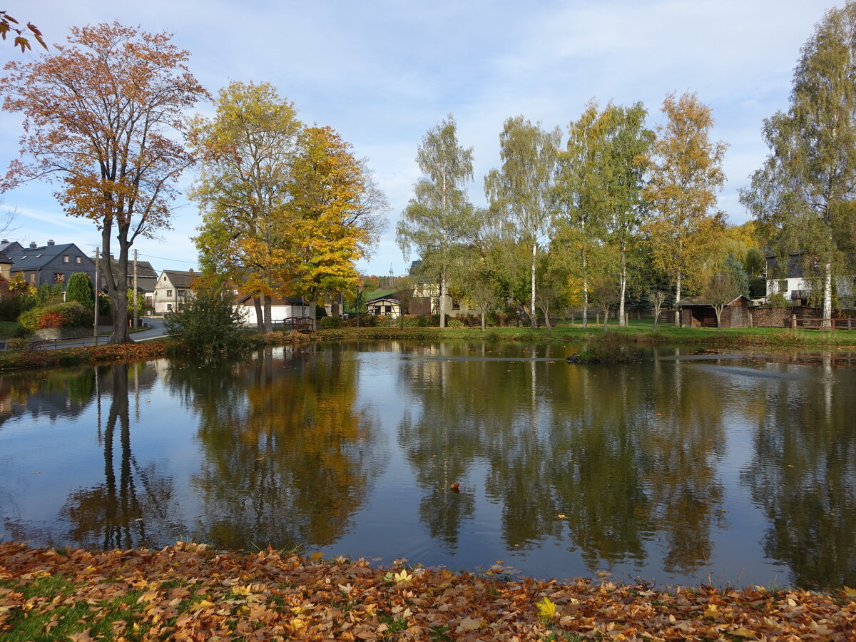 Dorfteich in Friesau, Saale-Orla-Kreis, Thüringen (17.10.2022)