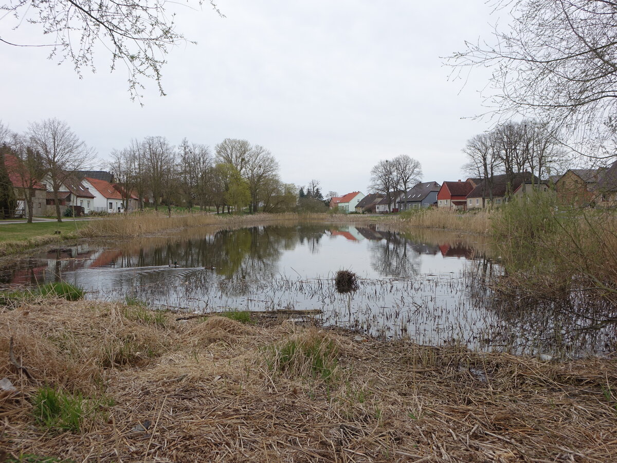 Dorfteich in Hohenreinkendorf, Uckermark (10.04.2026)