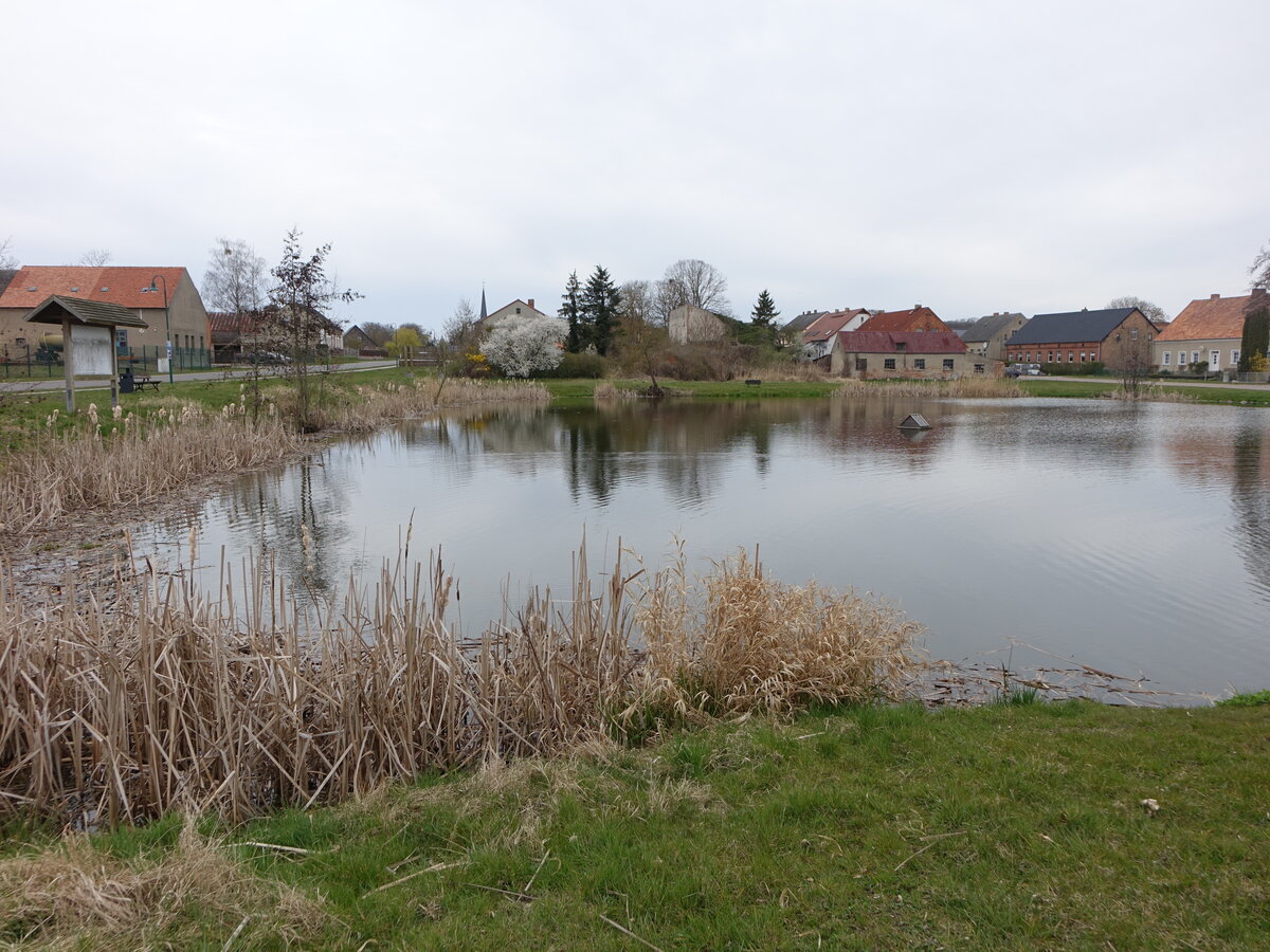 Dorfteich in Hohenselchow, Uckermark (10.04.2026)