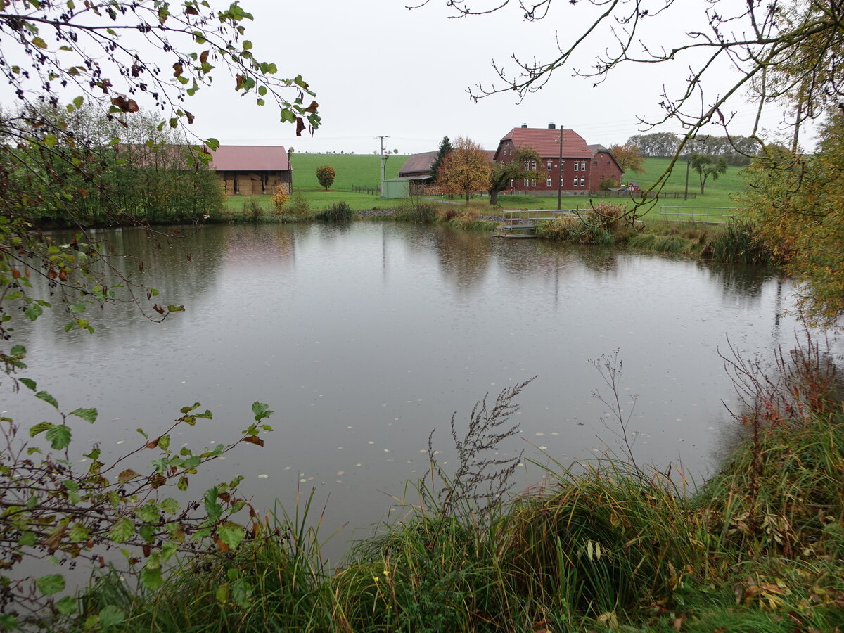 Dorfweiher bei Lotschen, Landkreis Weimarer Land (22.10.2022)