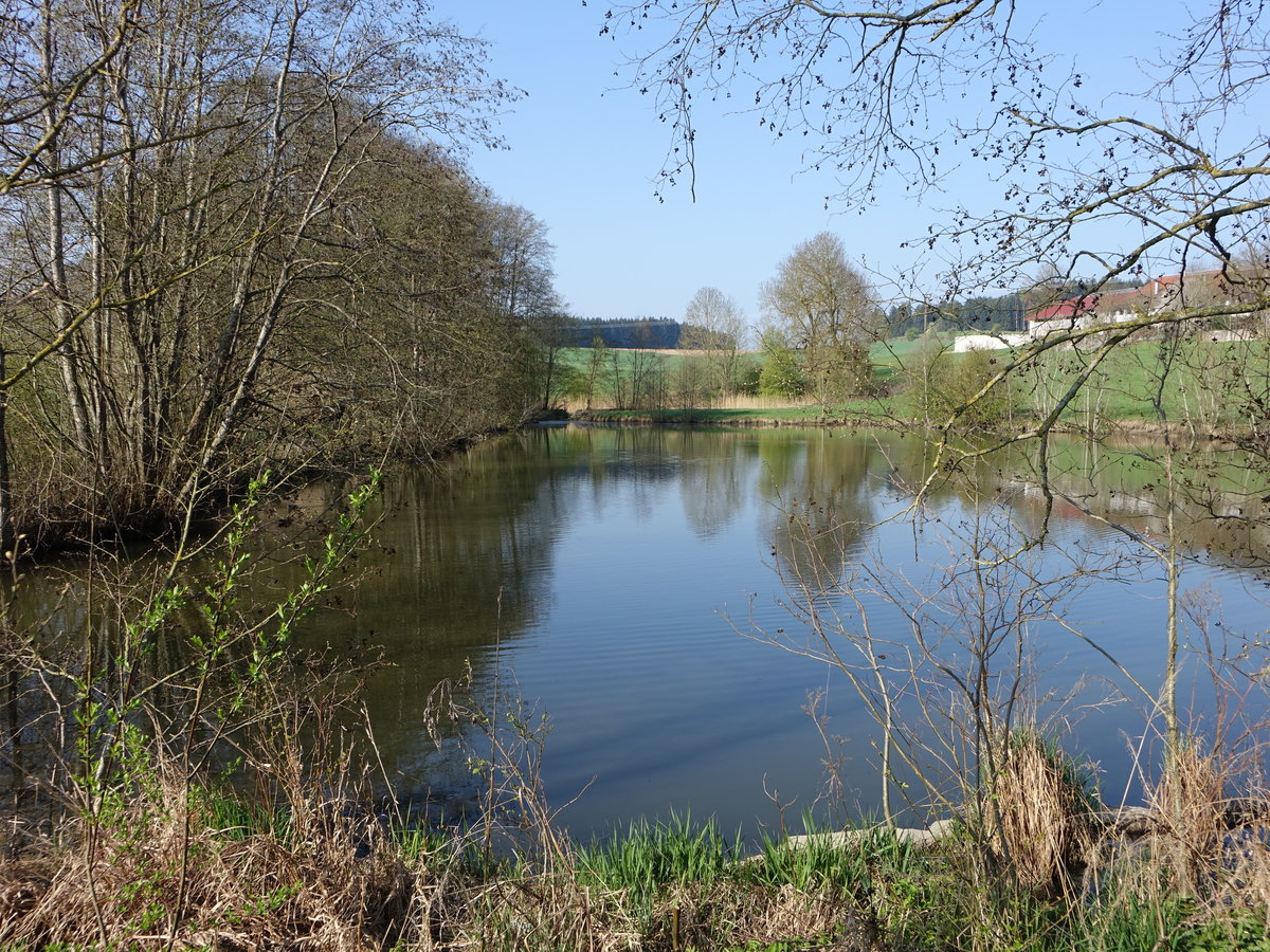 Dorfweiher von Feichten im Lkr. Mühldorf (09.04.2017)