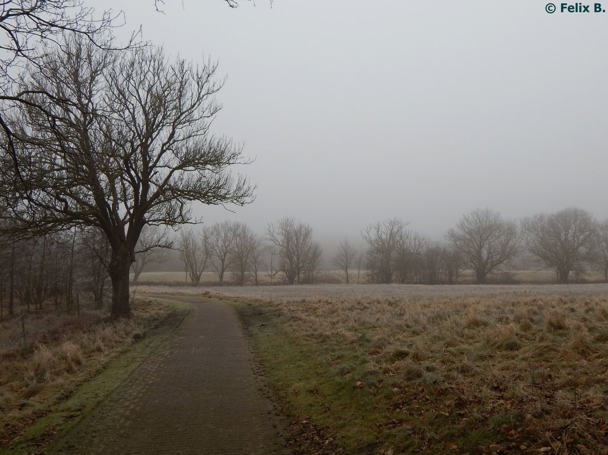 Drehtman sich um, so sieht man gar nicht richtig, dass Frost in Sassnitz am 17.12.2016 ist.