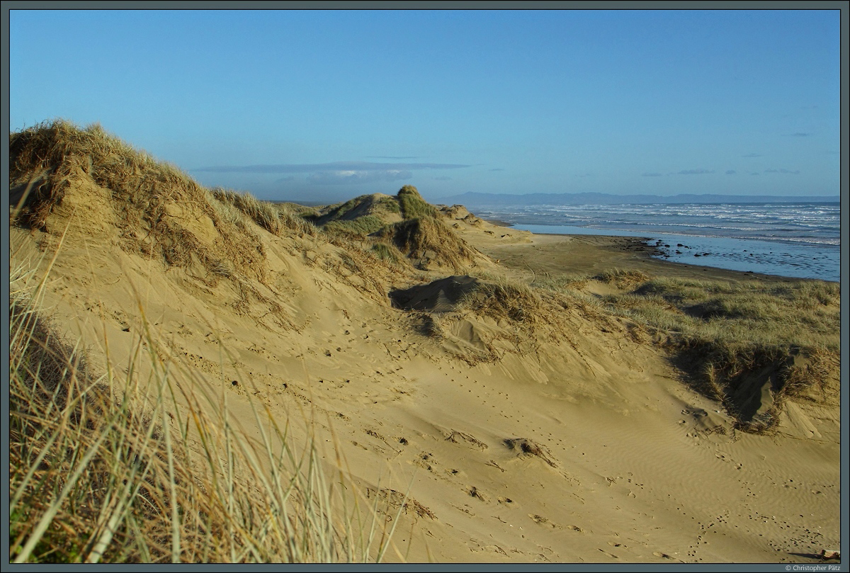 Dünen am Ninety Mile Beach, welcher sich 88 km entlang der Nordspitze der Neuseeländischen Nordinsel bis zum Cape Reinga zieht. (13.10.2016)