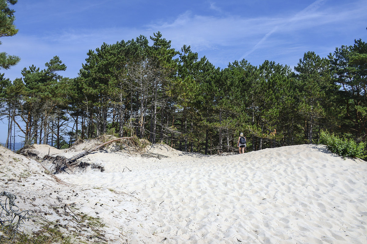 Dünen und Kiefernwald an der Ostseküste vor Czołpino (deutsch Scholpin) in Hinterpommern. Aufnahme: 20. August 2020.