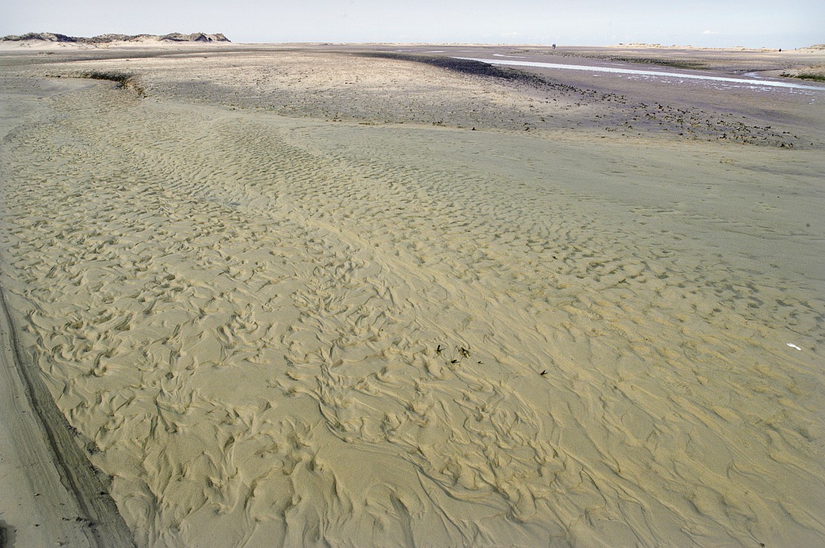 Dünen und Salzwiesen am Wanderweg zur Ostspitze von Norderney. Aufnahme: März 2008.