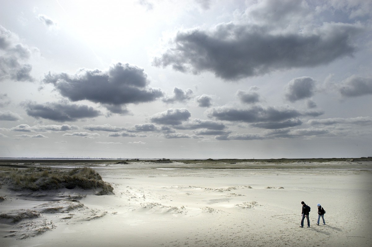 Dünen und Salzwiesen am Wanderweg zur Ostspitze von Norderney. Aufnahme: März 2008.