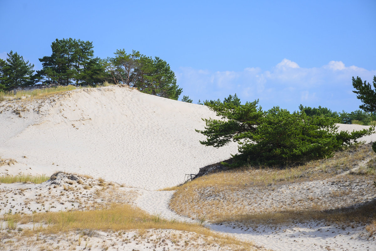 Dünen im Slowinischen Nationalpark östlich der ehemaligen Raketenabschlussrampen bei Rąbka. Aufnahme: 17. August 2020.