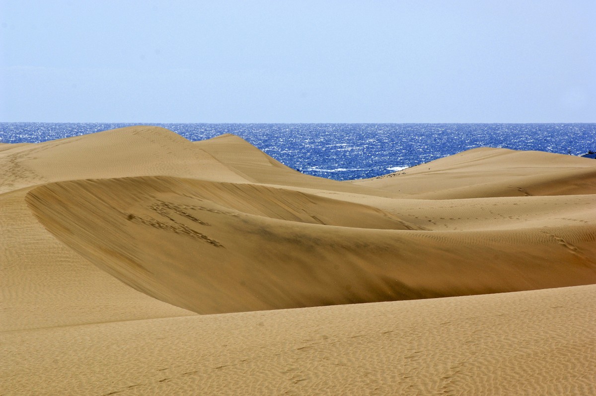 Dunas de Maspalomas an der Südküste Gran Canarias. Aufnahme: Oktober 2009.