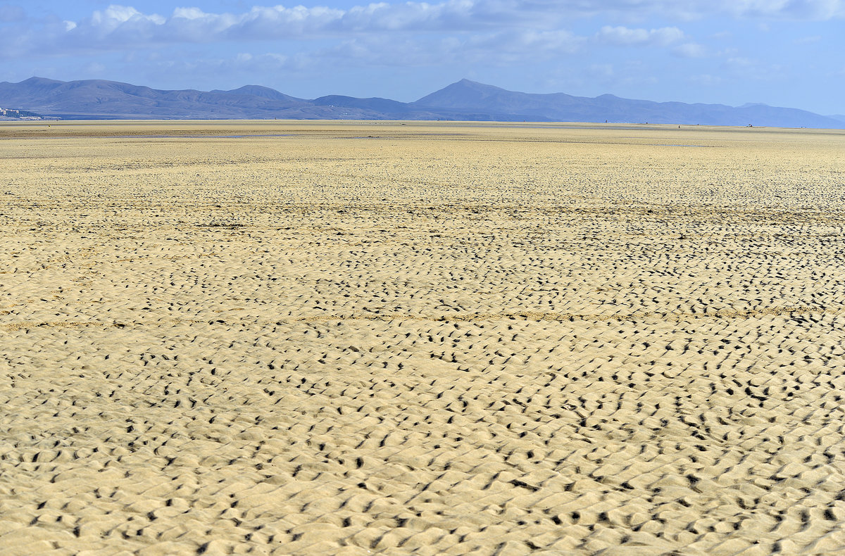 Ebbe in Laguna de Sotavento an der Insel Fuerteventura in Spanien. Aufnahme: 18. Oktober 2017.