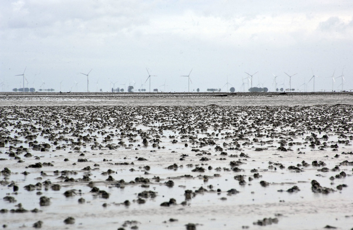 Ebbe im Wattenmeer nördlich von der Hallig Land in Nordfriesland. Aufnahme: 25. Juni 2017.