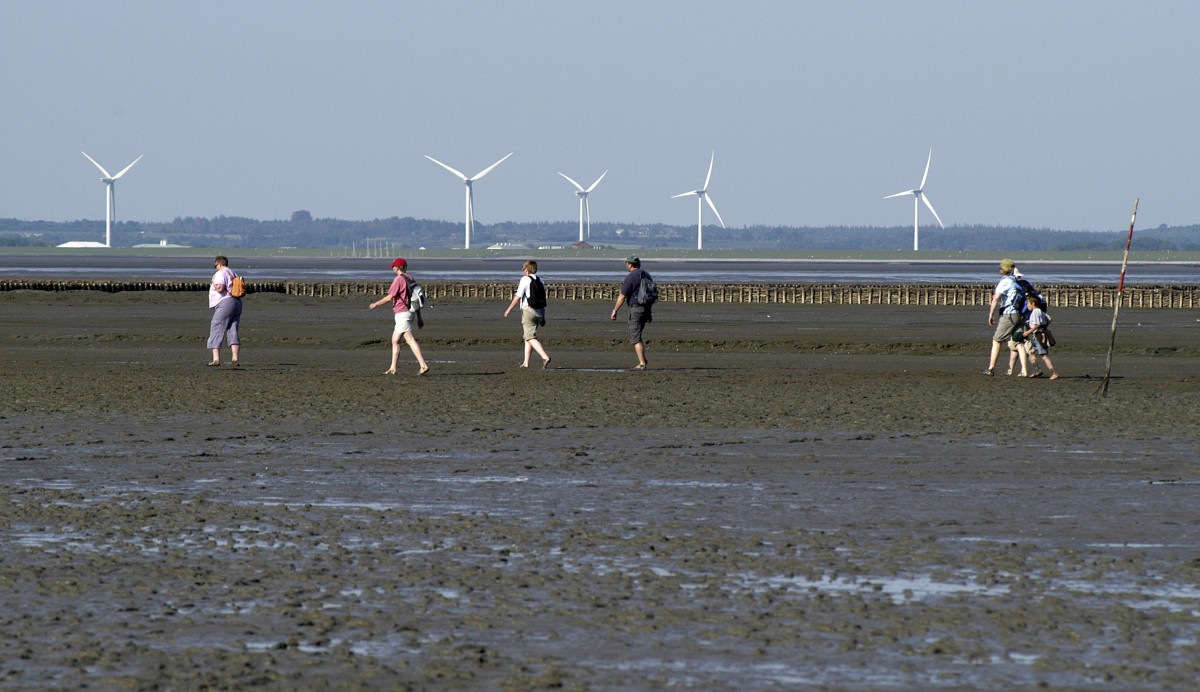 Ebbe im Wattenmeer vor Nordstrandischmoor in Nordfriesland. Aufnahme: Mai 2008.