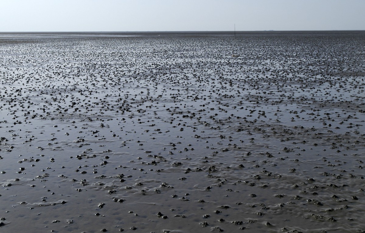 Ebbe im Wattenmeer vor Nordstrandischmoor in Nordfriesland. Aufnahme: Mai 2008.