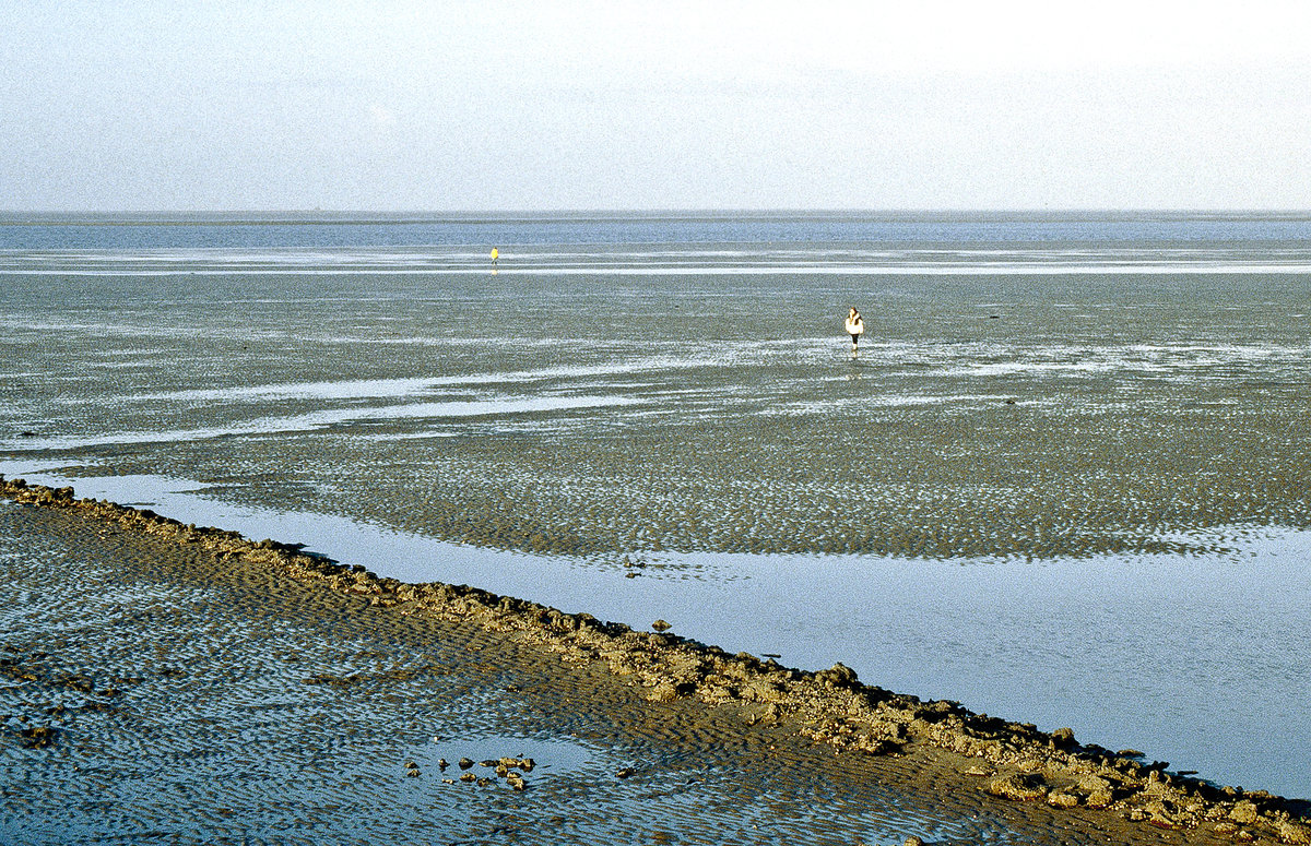 Ebbe westlich von der Insel Pellworm. Bild vom Dia. Aufnahme: Januar 2000.