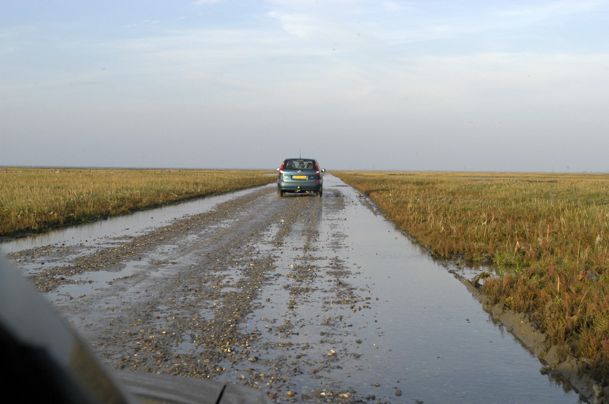 Ebbeweg (Låningsvejen)  vom dänischen Insel Mandø nach dem Festland (Sønderjylland). Aufnahme: 2. September 2006.