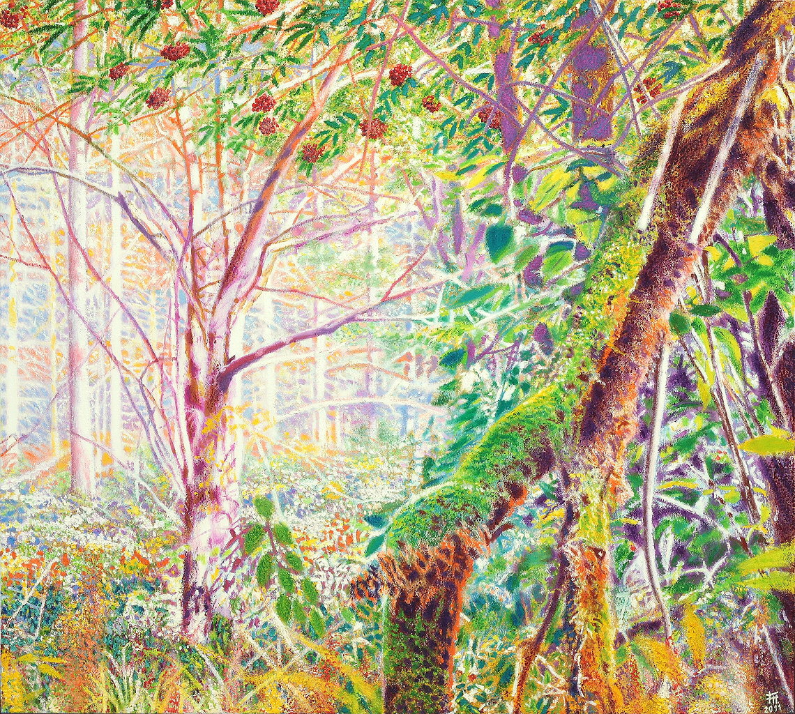  Ebereschenurwald , Öl auf Baumwolle, 2011, 90 x 100 cm; Blick in Urwald im Nationalpark mit Ebereschen...