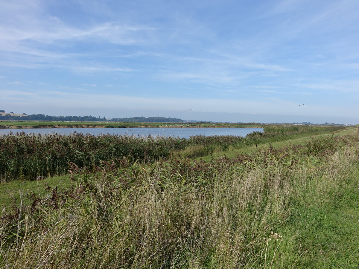 Ecclesbourne Reservoir bei Fairlight, East Sussex (03.09.2023)