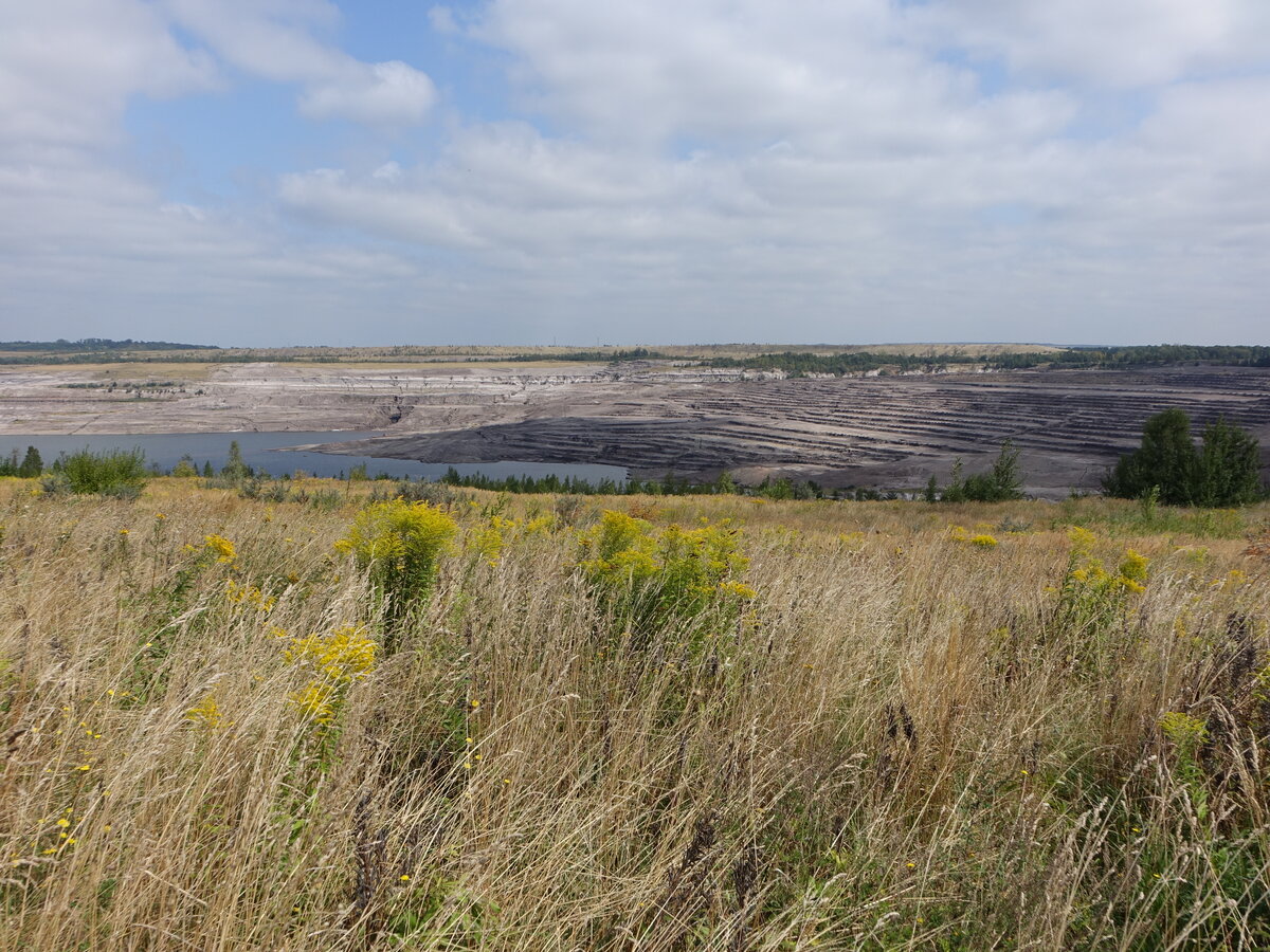 Ehemaliger Tagebau Schöningen, Landkreis Helmstedt (16.08.2025)
