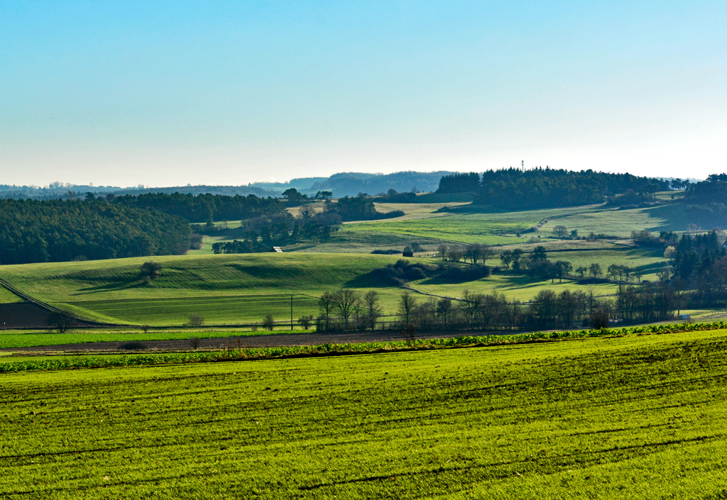 Eifel - sanfte Hügellandschaft bei Harzheim - 08.12.2015