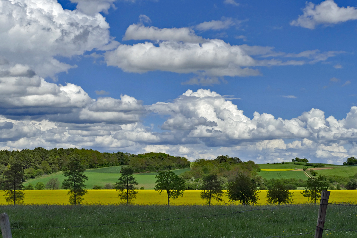 Eifellandschaft bei Bad Münstereifel (Wolken-Felder-Wald-Bäume) - 13.05.2017