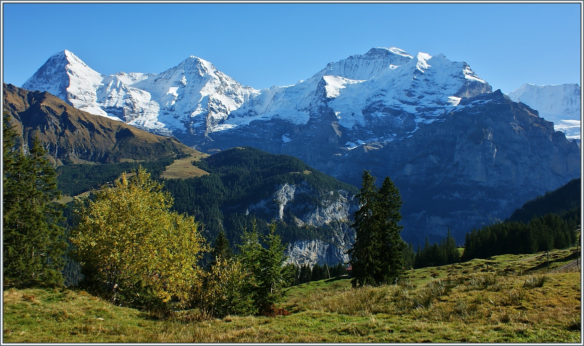 Eiger, Mönch und Jungfrau sind von Mürren aus schön zu sehen.
(24.10.2013)