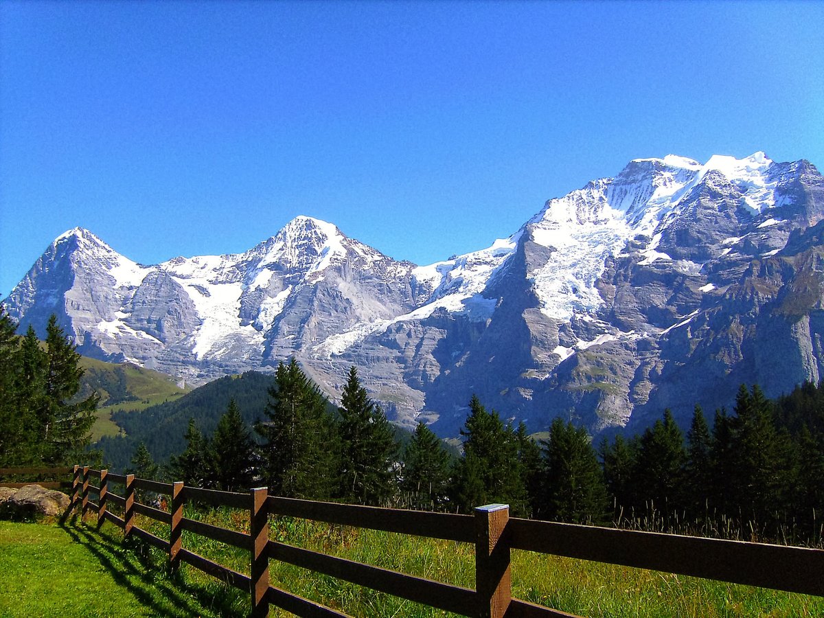 Eiger, Mönch und Jungfrau, von Winteregg bei Mürren aus gesehen - 30.08.2008