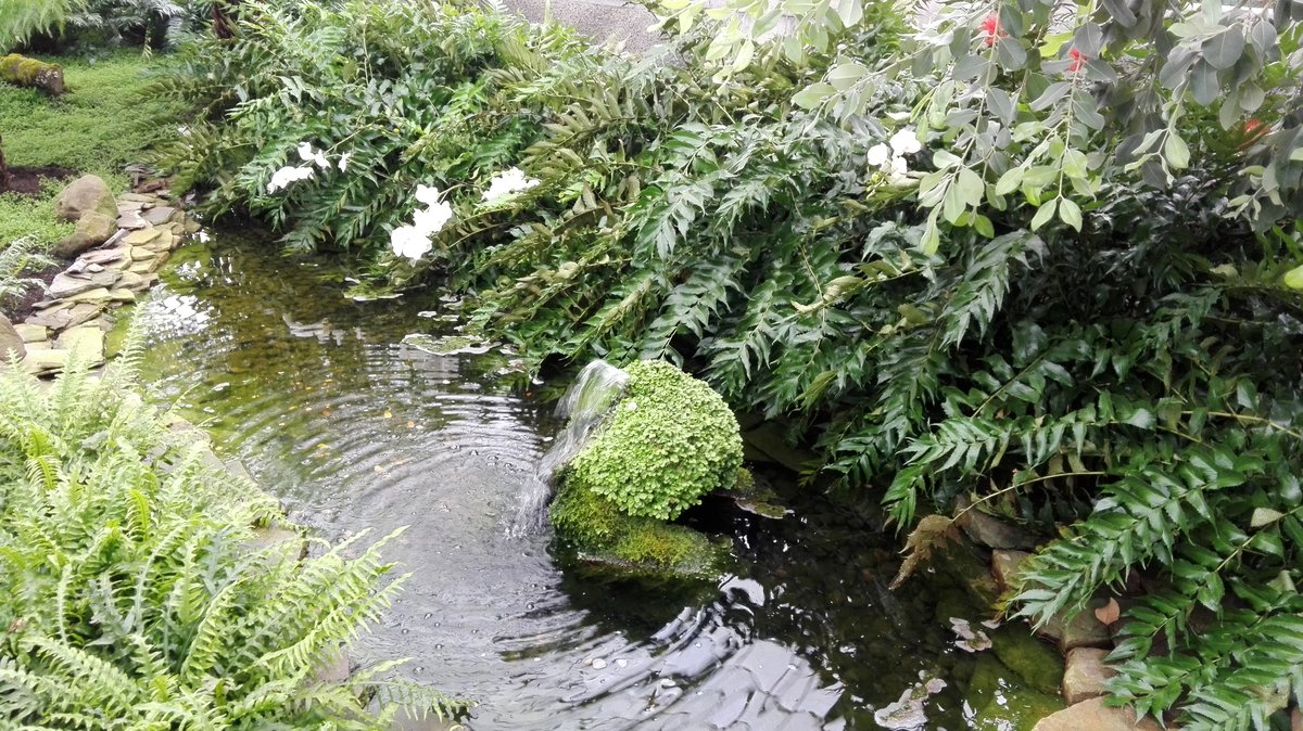 Ein angelegter Brunnen mit Bachlauf in den königlichen Gewächshäusern in Brüssel (Öffentlich kostenlos zugänglich an wenigen Tagen im Jahr). Aufgenommen am 29.04.2018.