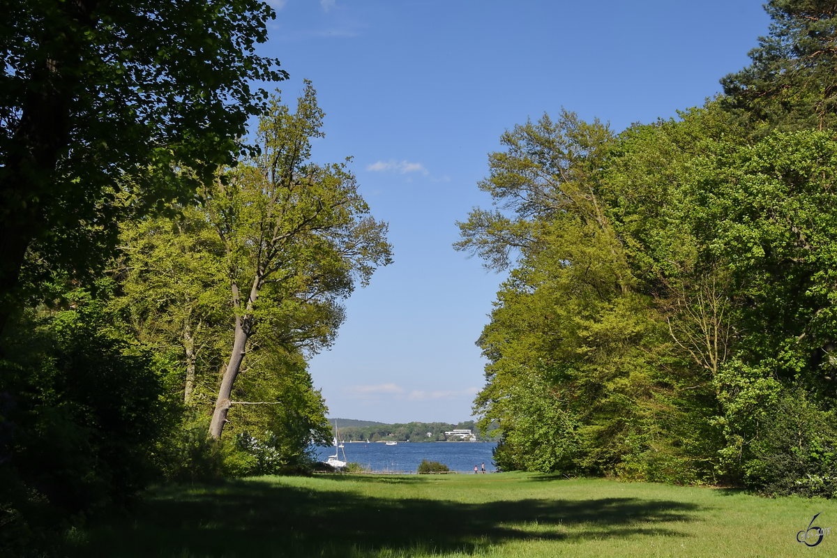 Ein angenehmer Spaziergang auf der Pfaueninsel bei Berlin. Eine kleine Lücke gibt den Blick auf die Havel frei. (April 2018)