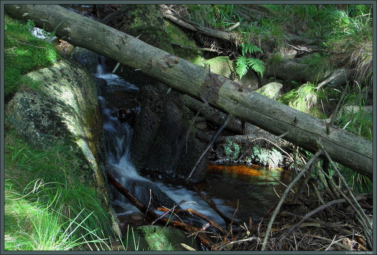 Ein Bach plätschert im Nationalpark Harz bei Schierke talwärts. (27.09.2015)