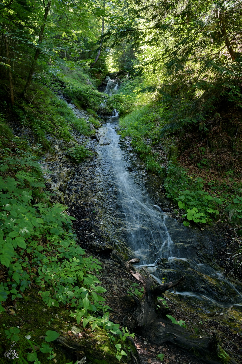 Ein Bachlauf bei Neuschwanstein. (Hohenschwangau, Juli 2017)