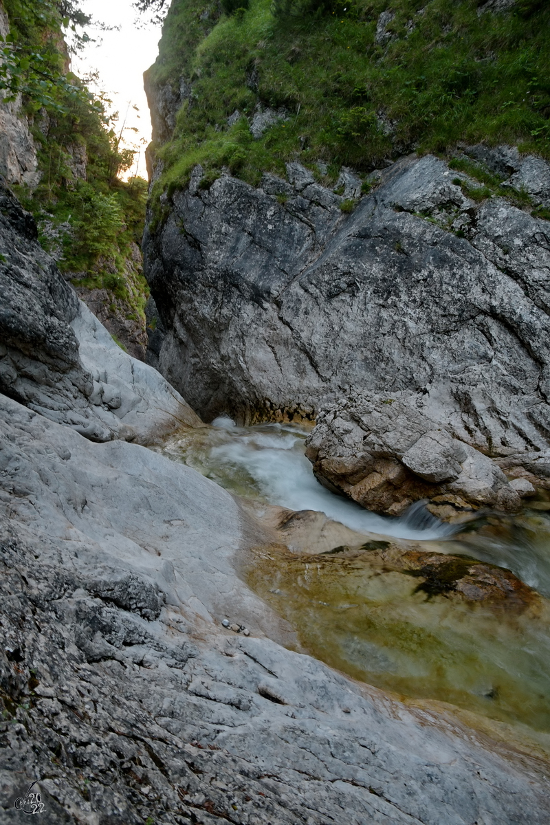 Ein Bachlauf bei Neuschwanstein. (Hohenschwangau, Juli 2017)