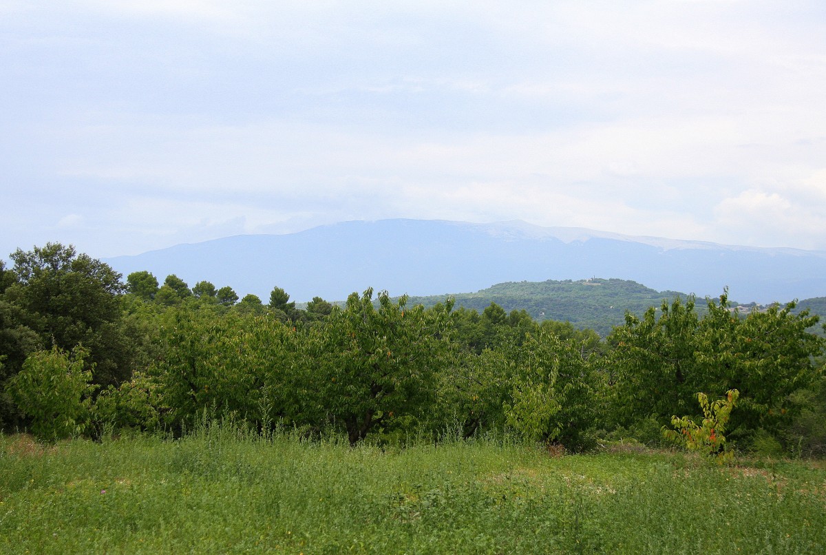 Ein Blick auf den Mont-Ventoux in der Provence(F) bei Wolken am Nachmittag vom 28.7.2014.