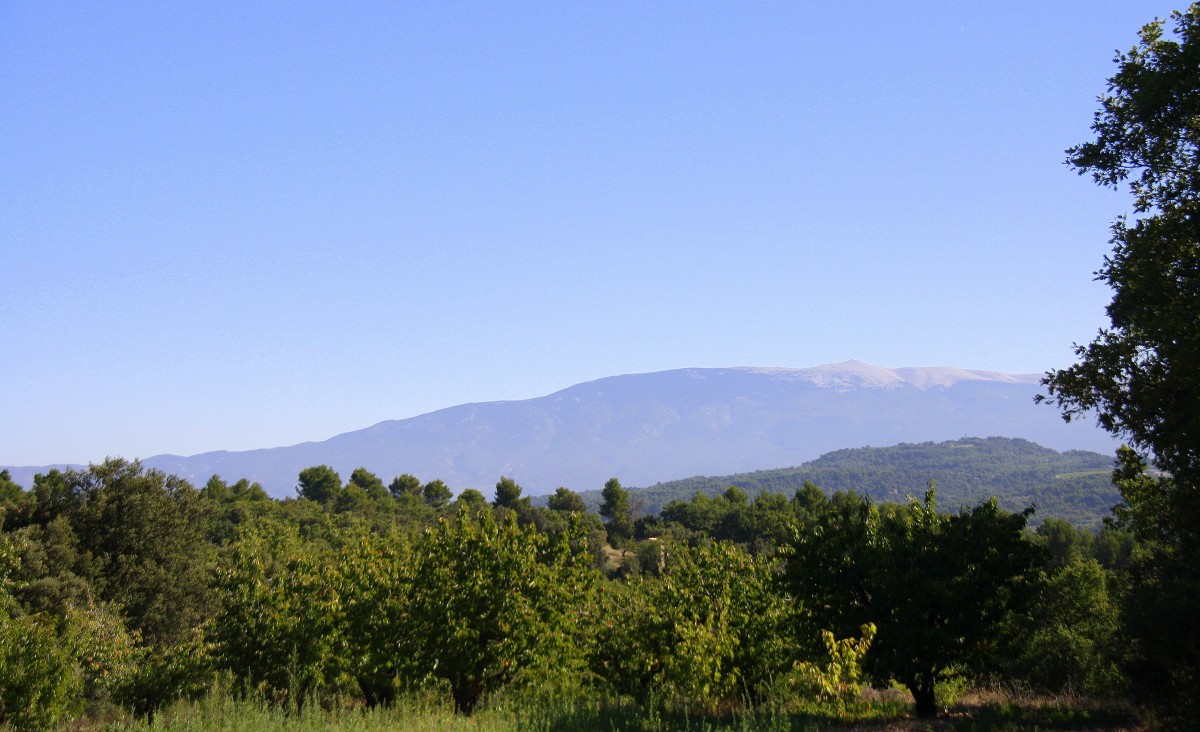 Ein Blick auf den Mont-Ventoux in der Provence(F) bei schönem Sonnenschein am Morgen vom 31.7.2014.