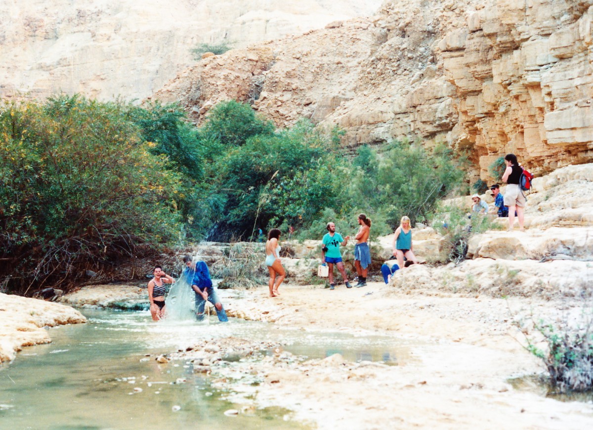 Ein Gedi ist eine wasserreiche Oase im nördlichen Teil der israelischen Wüste Negev. Aufnahme: November 1987 (digitalisiertes Negativfoto).